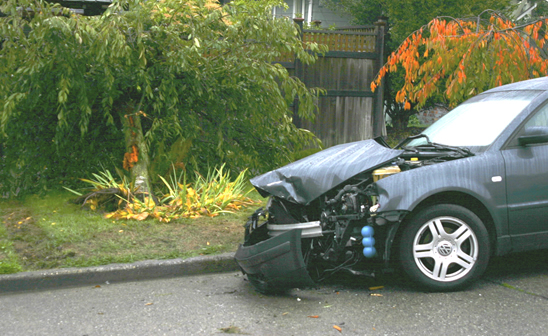 Car and Tree